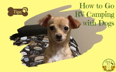 How to Go RV Camping with Dogs and Must Haves