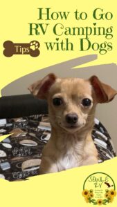 How to Go RV Camping with Dogs and Must Haves | SOWLE RV