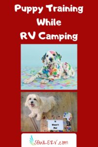 RV Camping with a New Puppy-What You Need to Know | SOWLE RV