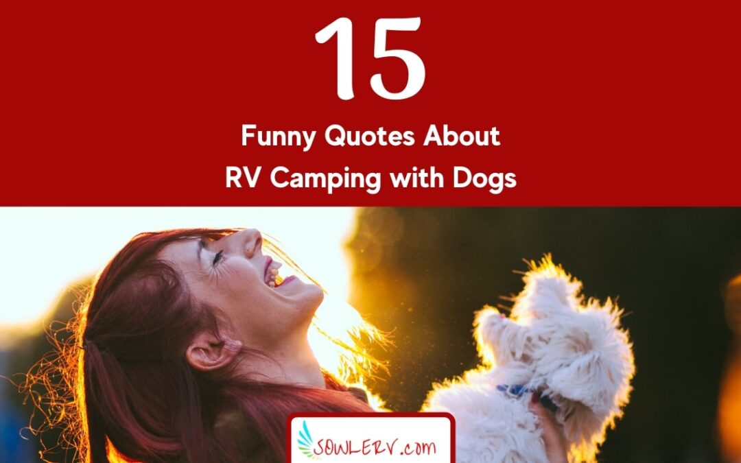 Top 15 Funny Quotes About RV Camping with Dogs | SOWLE RV
