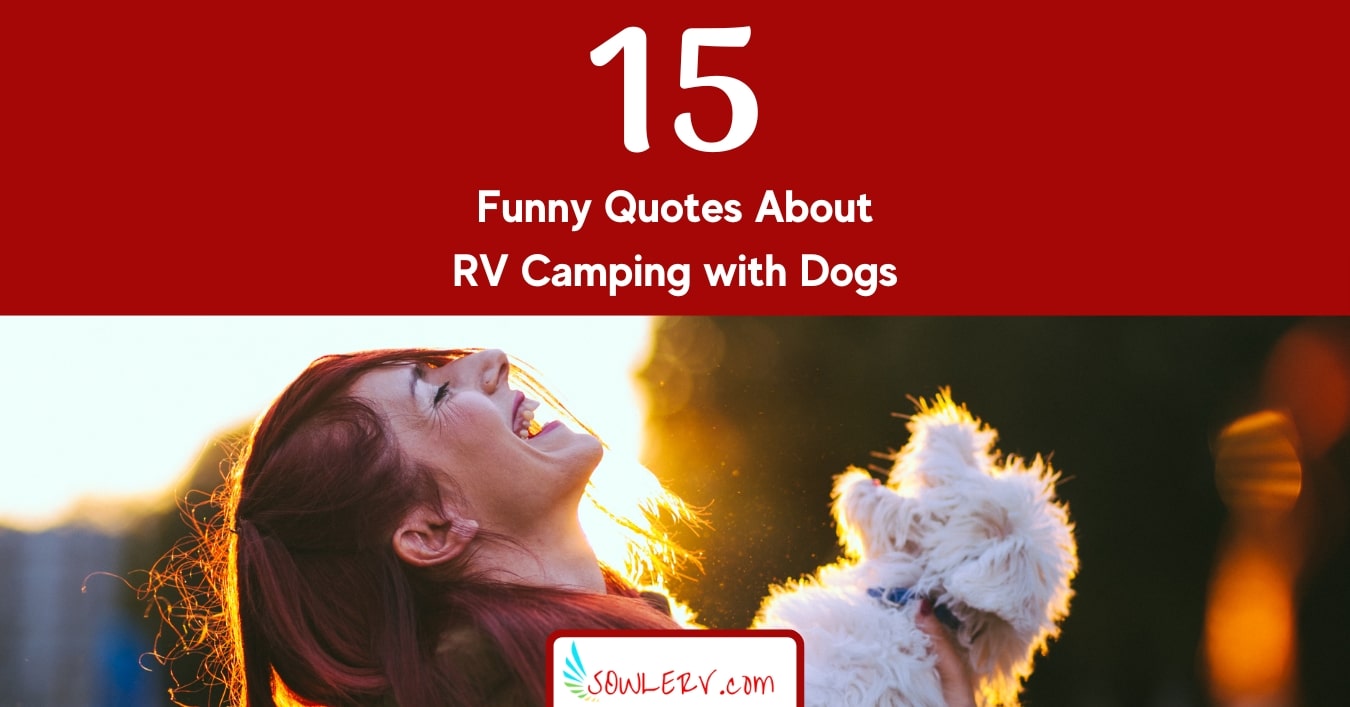 Top 15 Funny Quotes About RV Camping with Dogs | SOWLE RV