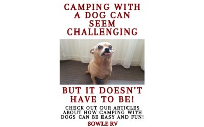 How to go RV Camping with Dogs and Must Haves