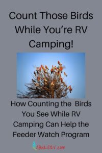 How YOU Can Help Project FeederWatch | SOWLE RV