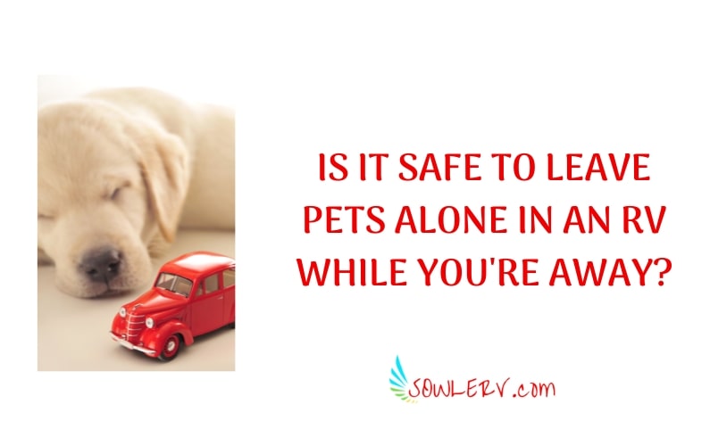 How To Safely Leave Your Pet in an RV Alone