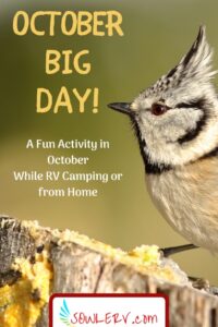 Join Us for October Big Day! | SOWLE RV