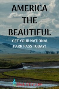 7 Amazing National Park Pass Options