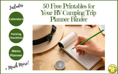 Organize Your Travel Goals with the SOWLE As You GOAL Free Printable Travel Binder Pages