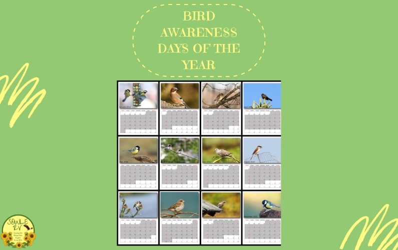 Bird Awareness Days of the Year | SOWLE RV
