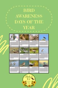 Bird Awareness Days of the Year | SOWLE RV