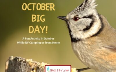 Join Us for October Big Day!