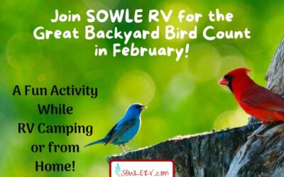 Join Us for the Great Backyard Bird Count GBBC