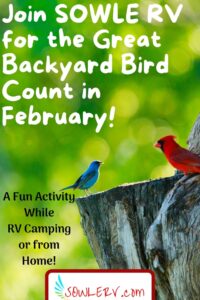 Great Backyard Bird Count (GBBC) | SOWLE RV