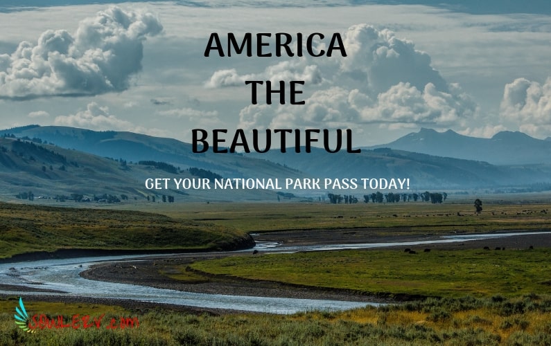 7 Amazing National Park Pass Options