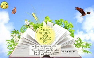 Discover the Inspirational Power of Sunday Scripture with SOWLE RV