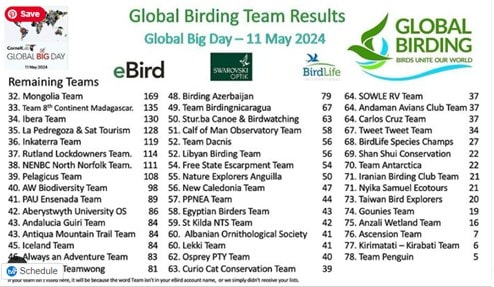 Global Big Day Global Birding Team Results 2024 | SOWLE RV