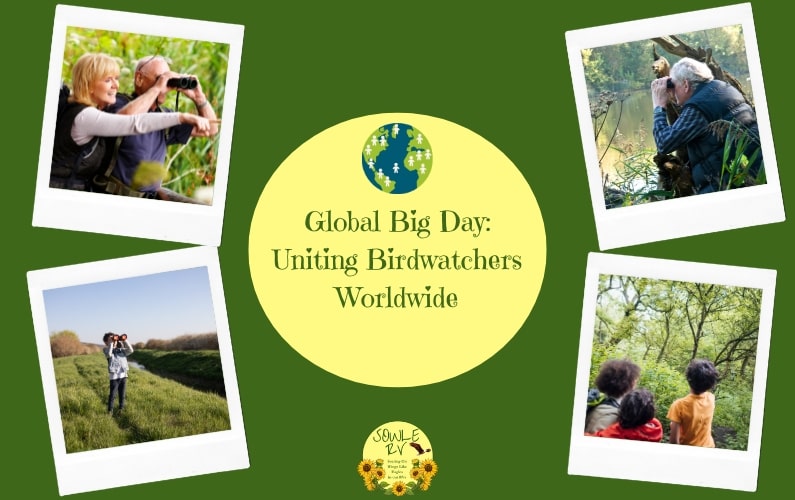 Global Big Day in May: Uniting Birdwatchers Worldwide