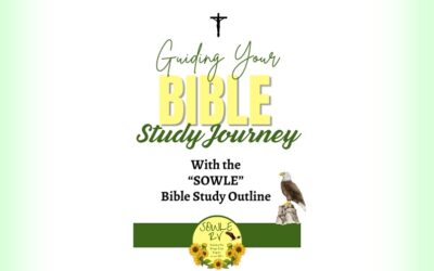 Soar Successfully in Your Bible Study Journey with the “SOWLE” Bible Study Outline