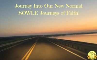 The Blessed Journey Into Our New Normal [SOWLE Journeys of Faith]