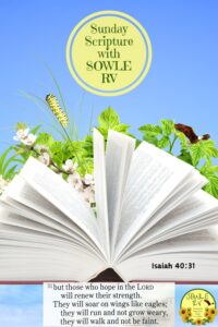 Embrace the Spirit: Sunday Scripture with SOWLE RV