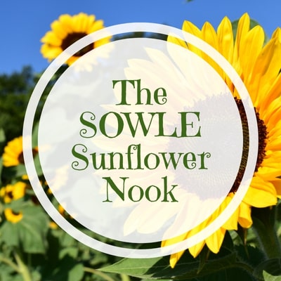 The SOWLE Sunflower Nook | SOWLE RV