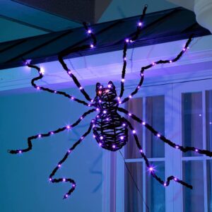 Creepy Halloween Spider