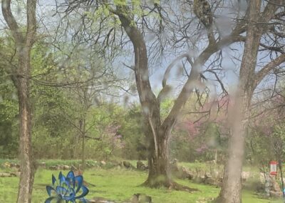 Reflecting on His Creation of the Land and Seas | SOWLE RV