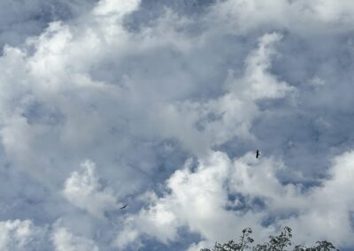 Reflecting on His Creation of the Sky | SOWLE RV