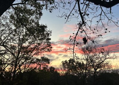 Reflecting on His Creation of the Sky | SOWLE RV